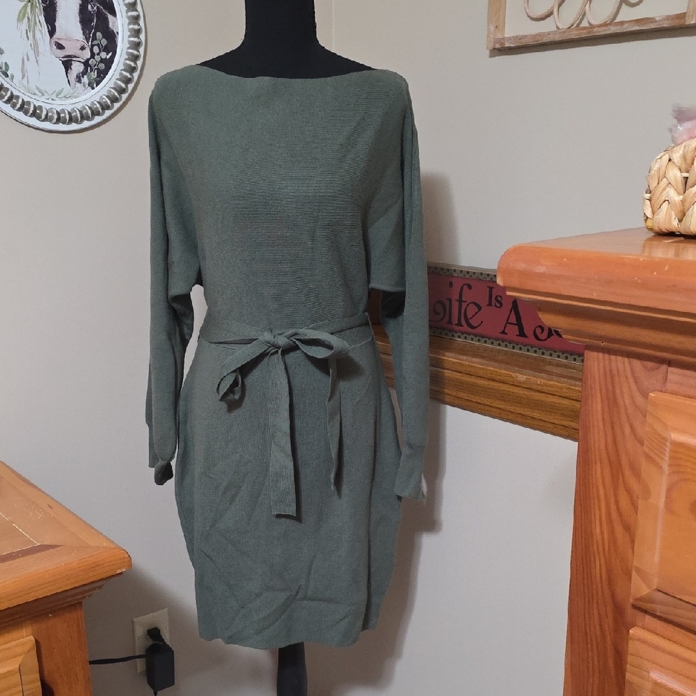 Chic Olive Long Sleeve Dress